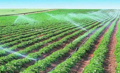 亚州小骚妇农田高 效节水灌溉